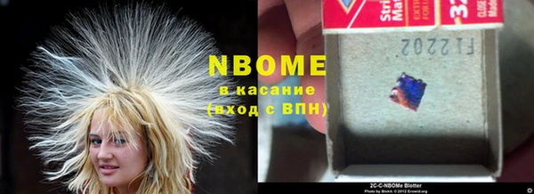 прущие крисы Бородино