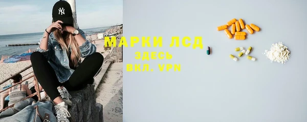 гашик Богданович