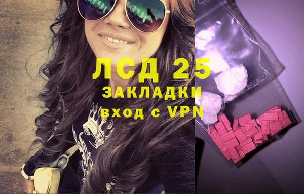 прущие крисы Бородино