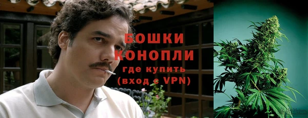 прущие крисы Бородино