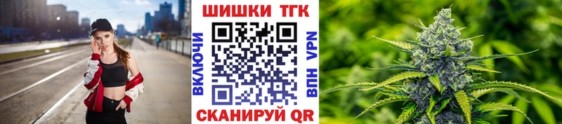 Каннабис сатива  Купить где  Струнино 